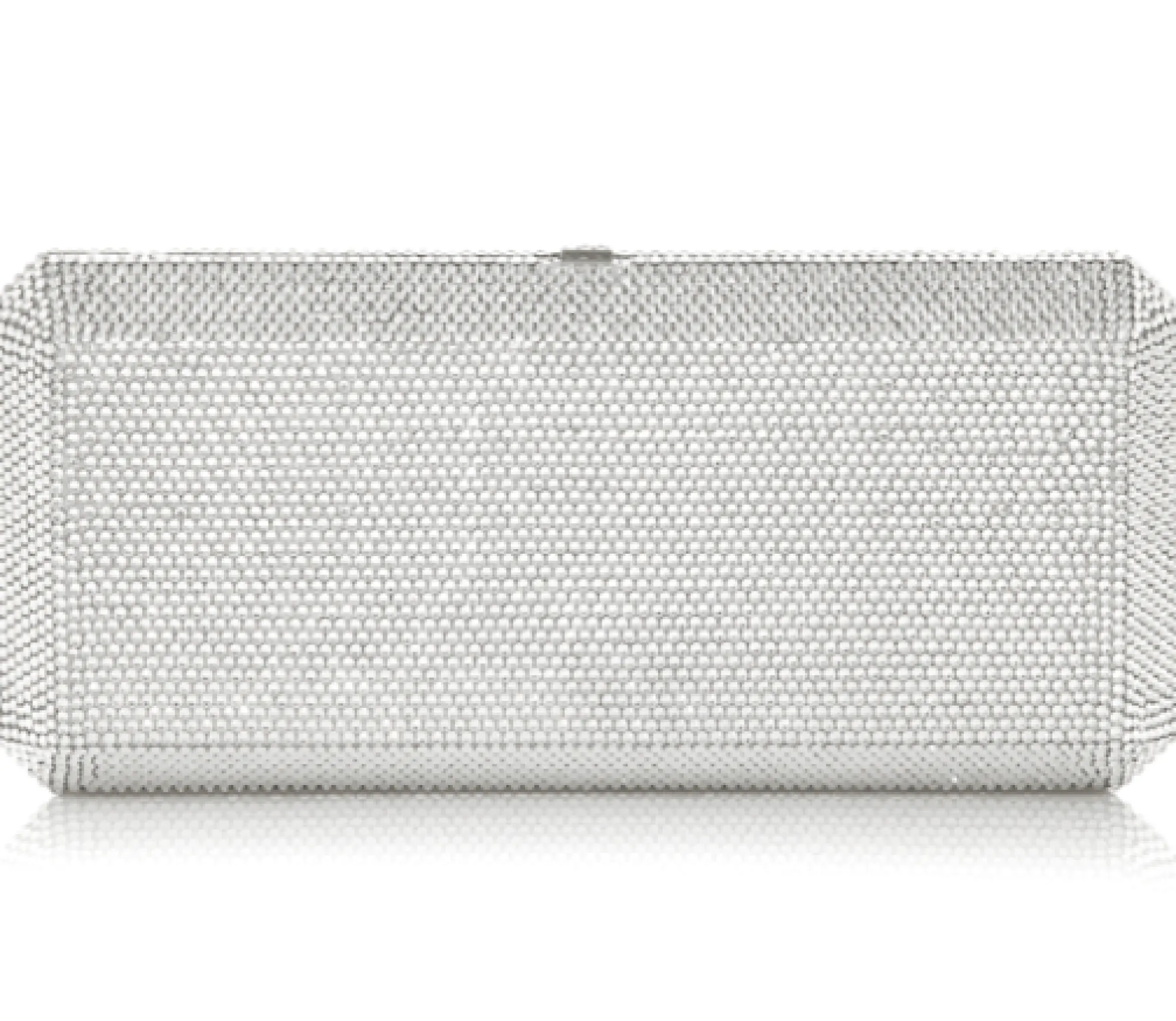 Bespoke Slim Rectangle*Judith Leiber Hot