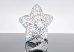Star Flurry*Judith Leiber Best