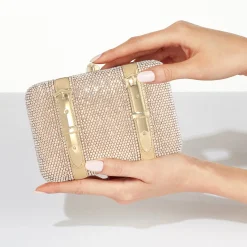 Valise Fullbead Prosecco*Judith Leiber Discount